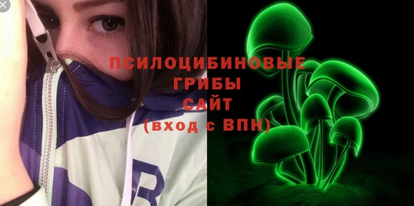 сатива Абдулино
