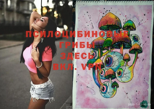 сатива Абдулино