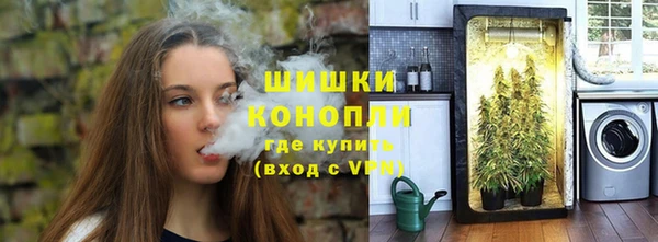 сатива Абдулино