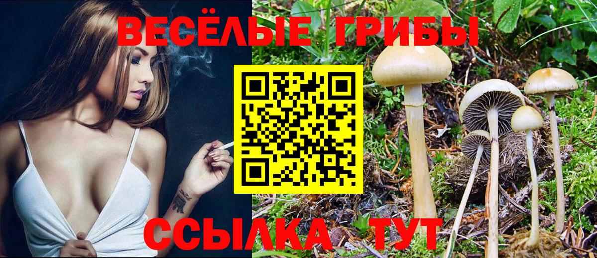 Псилоцибиновые грибы мицелий Комсомольск-на-Амуре