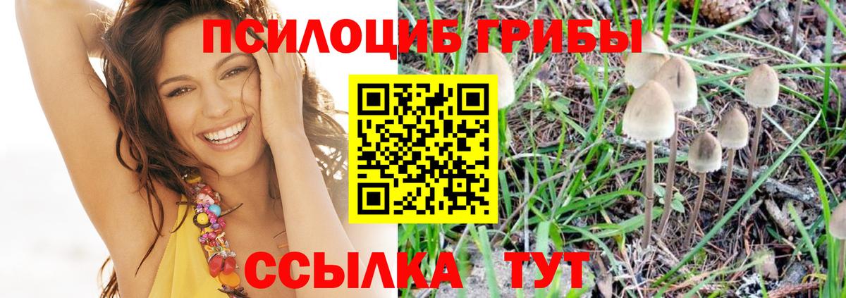 Комсомольск-на-Амуре  Галлюциногенные грибы GOLDEN TEACHER  Галлюциногенные грибы GOLDEN TEACHER  Вход с VPN 
